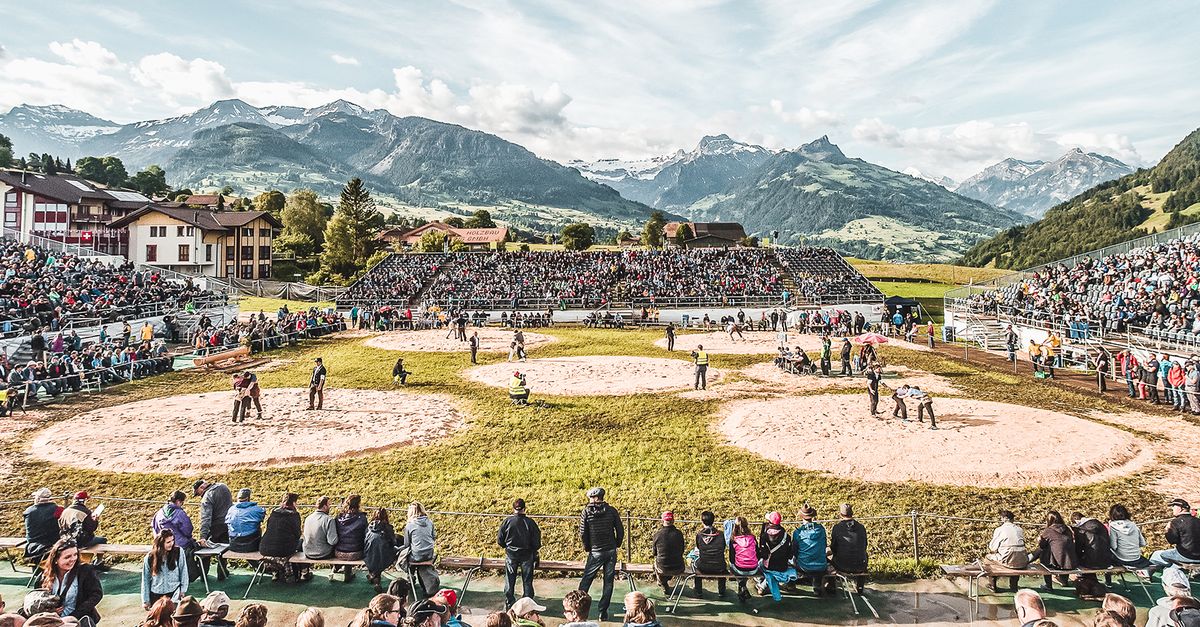 (c) Hofstetter-zelte.ch