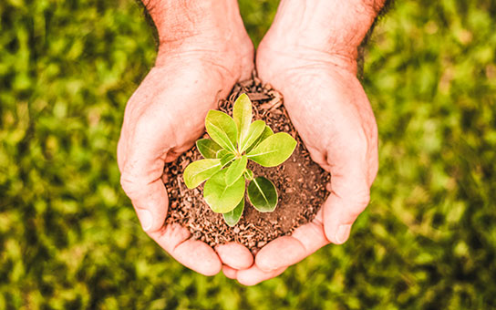 ISO_Zertifizierung_Blog_Inhalt_Säule_Umwelt.jpg ISO_Zertifizierung_Blog_Inhalt_Säule_Umwelt