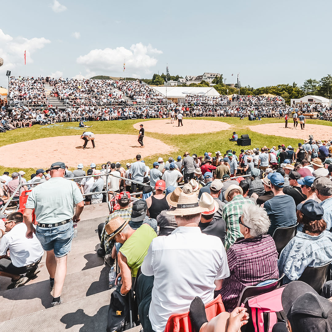 BLOG_INHALT_Schwingfeste2026_02_1080x1080px