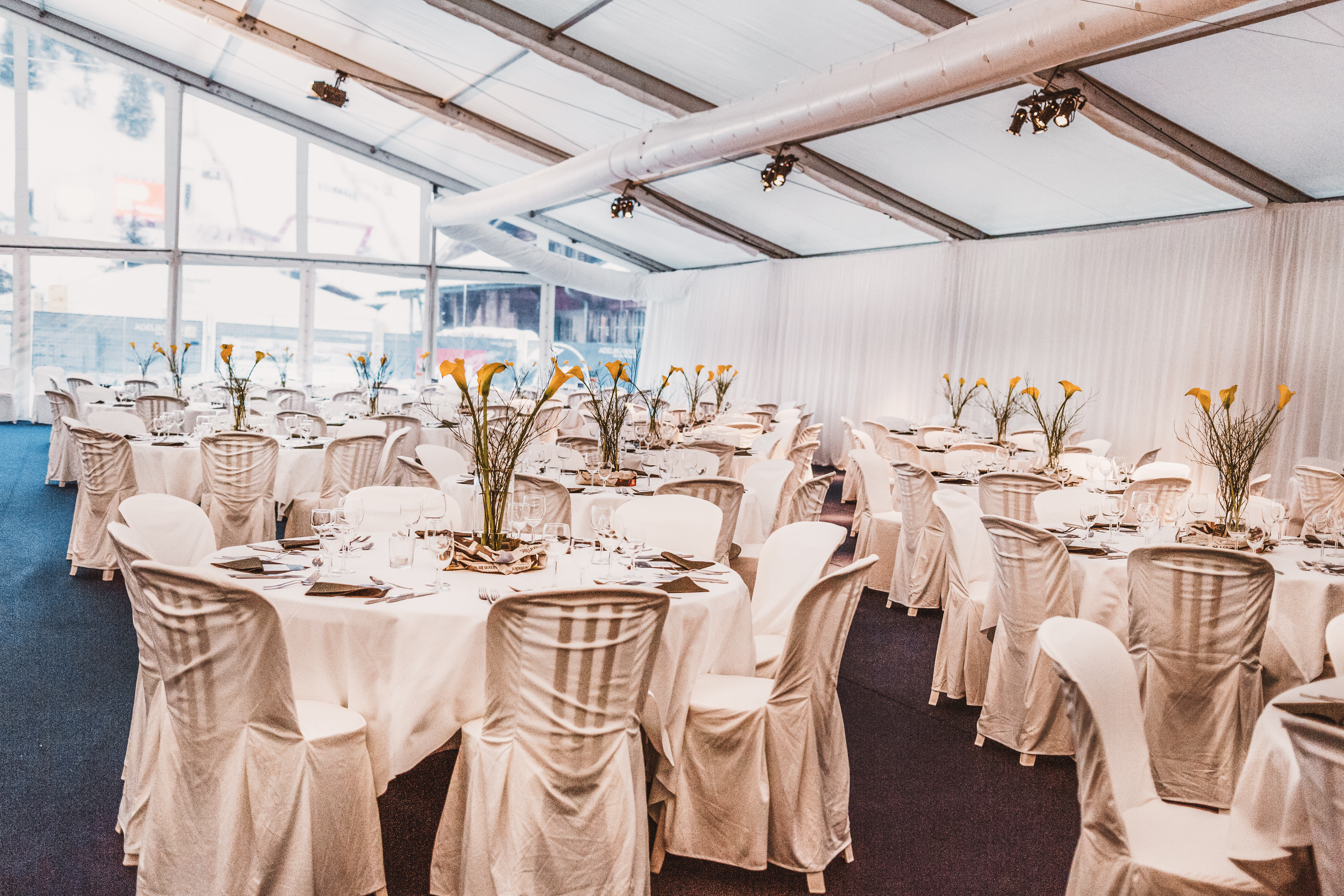 _MG_5112WC17-anz-20160107.0726-2.jpg _MG_5112WC17-anz-20160107.0726-2